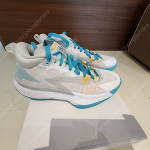 [255]나이키 자이언1