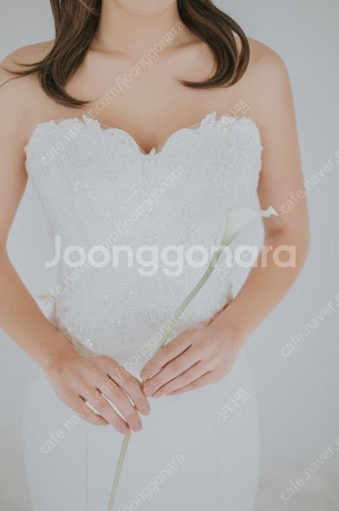 청담 비비안코 본식 웨딩드레스 28벌 (실착 1~3회미...--4