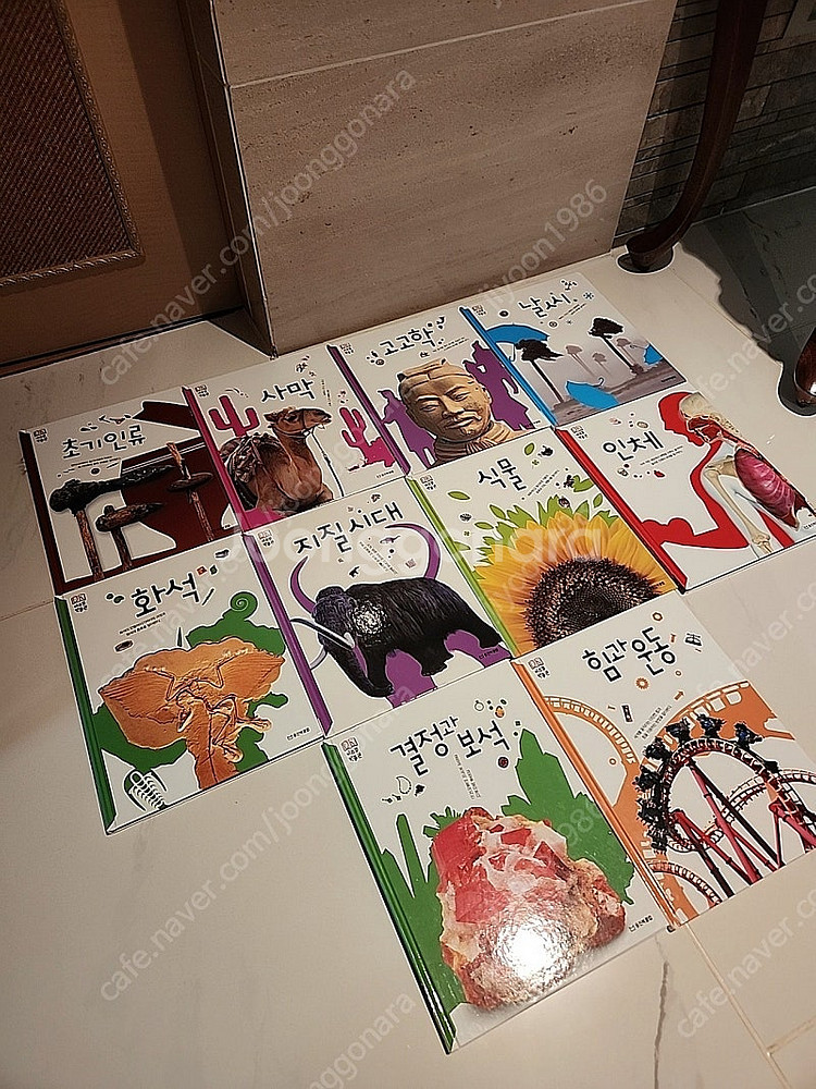웅진 비주얼박물관 웅진북클럽 책 10권 아동책 10권--1