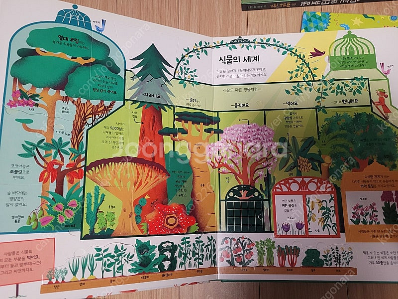 어스본 쉽고 재밌는 초등 영재 플랩북 시리즈 1~28권--3