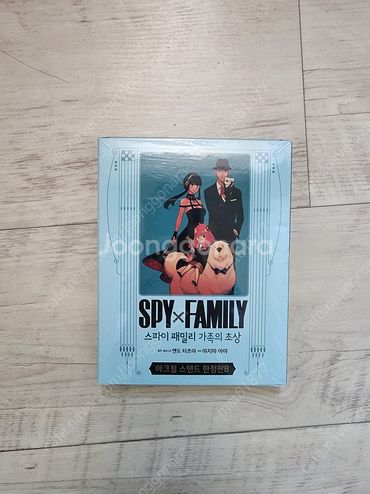 공의 경계, 스파이패밀리 가족의 초상, 봇치 더 록 5...--1