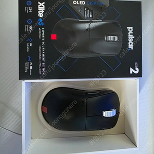 펄사 Xlite v4 es 마우스 Size 2