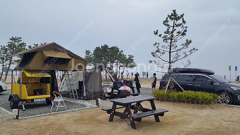 힉스 츄레라, 텐트 팝니다--0