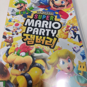 닌텐도 슈퍼마리오파티잼버리