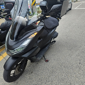 24년식 pcx125 판매 동두천 390>370급매