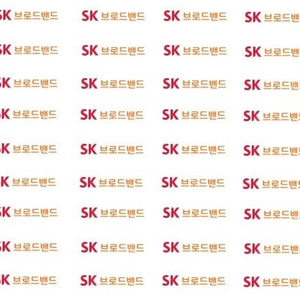 SKB(SK브로드밴드) 인터넷 양도합니다(23개월, 이전설치비 + 추가비용 4만원지원)