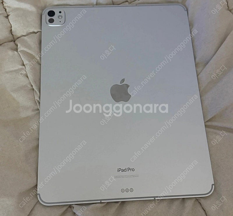 아이패드 프로 M4 13인치 셀룰러 256GB 실버--0