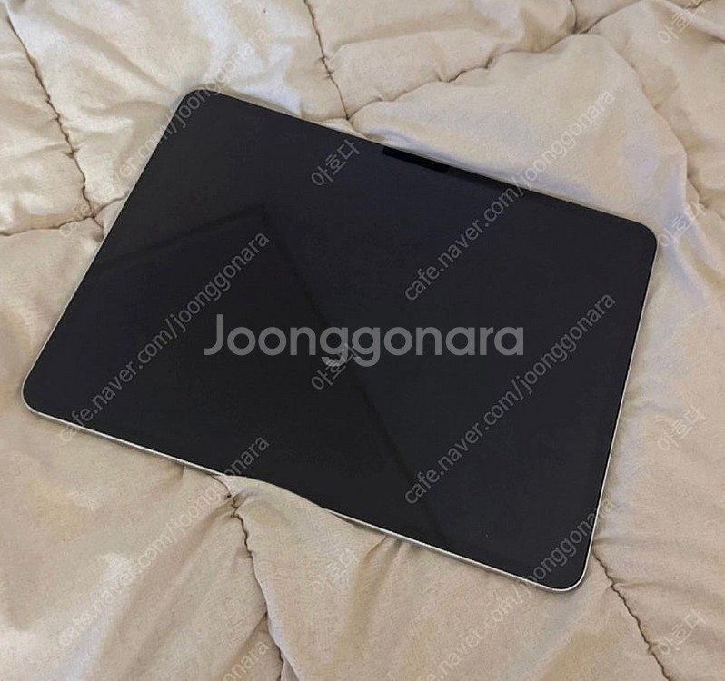 아이패드 프로 M4 13인치 셀룰러 256GB 실버--1