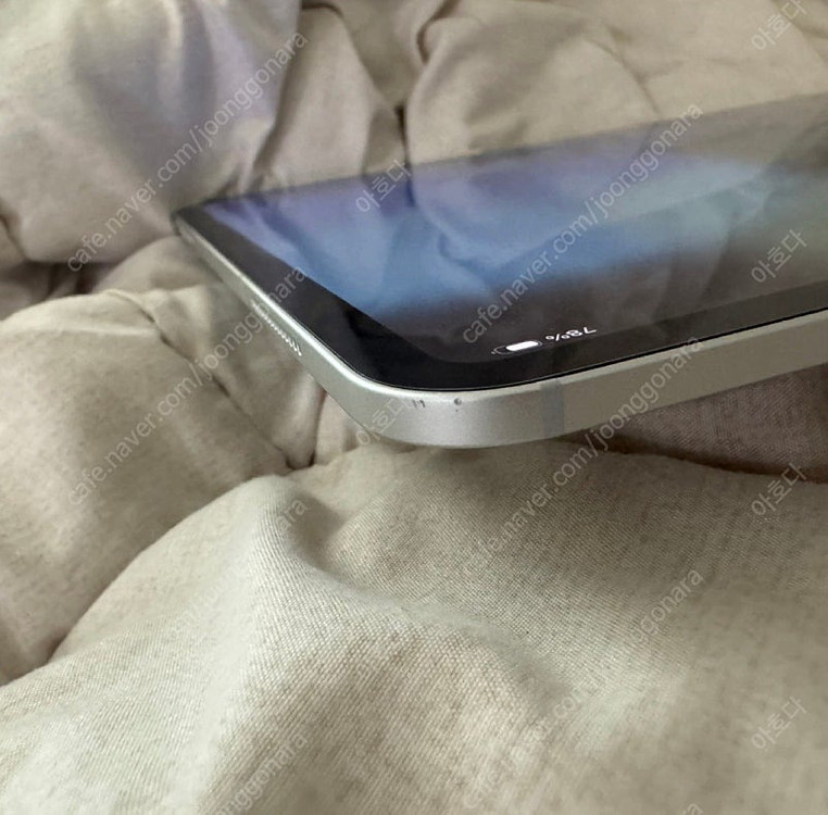 아이패드 프로 M4 13인치 셀룰러 256GB 실버 이미지