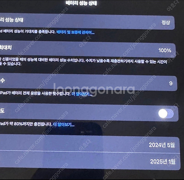 아이패드 프로 M4 13인치 셀룰러 256GB 실버--5