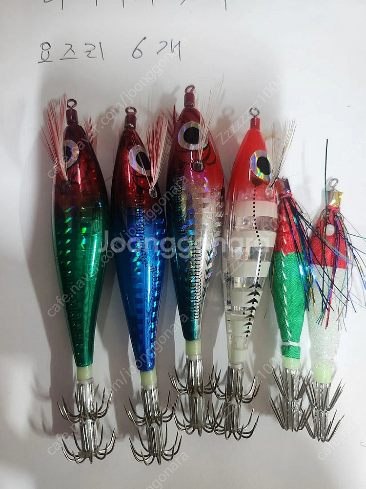 갑오징어에기팝니다 야마시타 요즈리 기타듬등--1