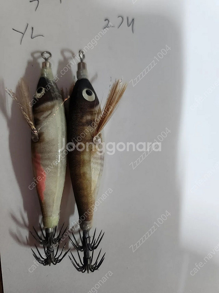 갑오징어에기팝니다 야마시타 요즈리 기타듬등--5