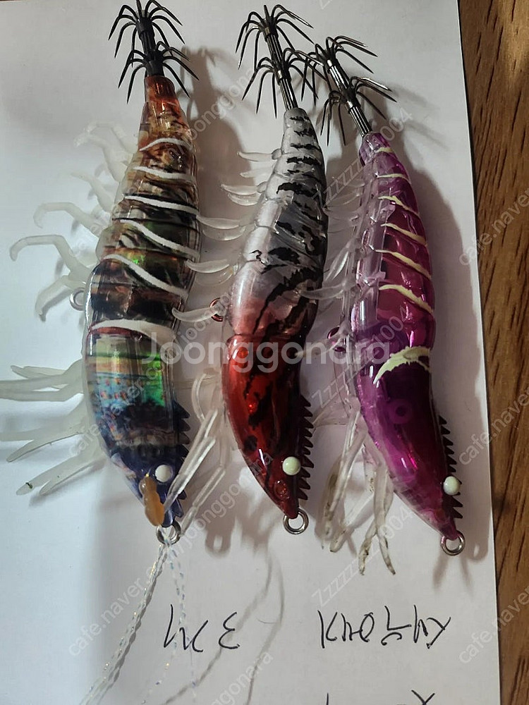 갑오징어에기팝니다 야마시타 요즈리 기타듬등--7