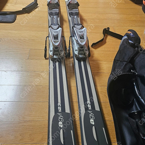 dynastar 스키 Lange 23 부츠 275