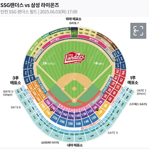 6/3(화) SSG랜더스 vs 삼성라이온즈 외야파티덱 8인석