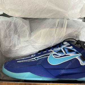 (255)코비5 엑스레이