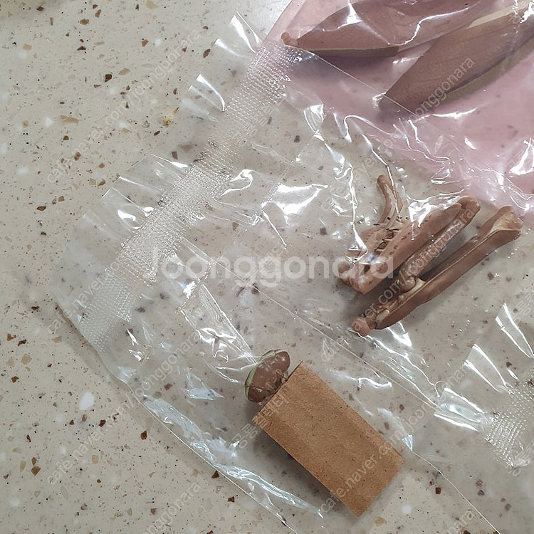 생물대도감 왕사마귀 외 여러가지 판매합니다--3