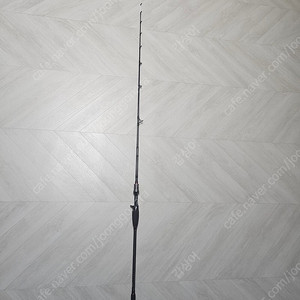 타코이카 AGS 170H