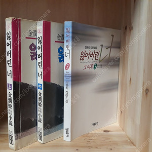 [희귀도서] 잃어버린 너 전 3권 완결