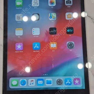 아이패드 미니 2세대 와이파이 32GB 택포 4.5