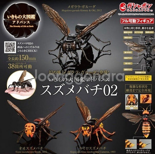 BANDAI(반다이), 생물대도감(황말벌), 급처합니다...--0