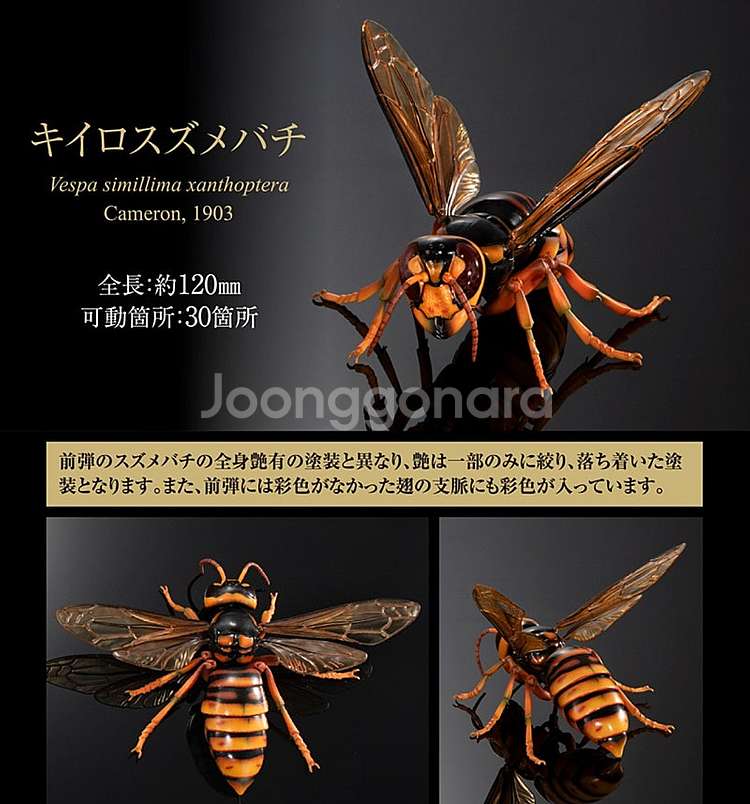 BANDAI(반다이), 생물대도감(황말벌), 급처합니다...--2