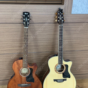 크래프터 기타 글로리아 프레스티지 한정판 탑솔리드 GA 바디 + DS-2 pro+ 픽업