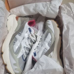 토즈 스니커즈 새것
