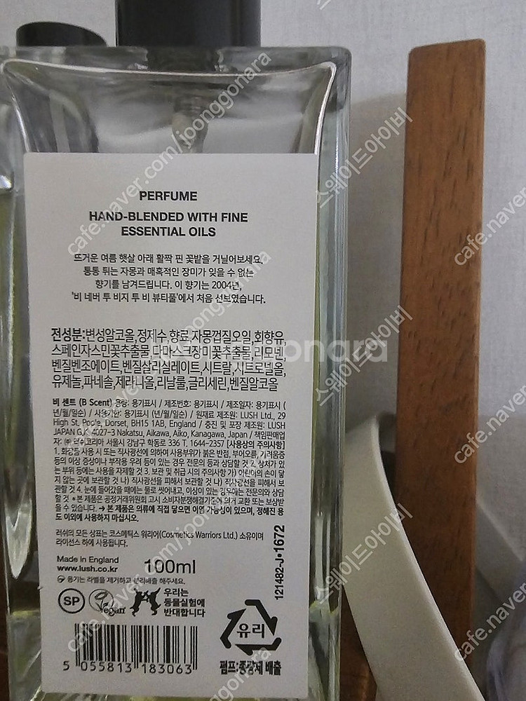 러쉬 비센트--1