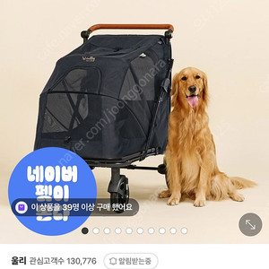 울리 이지 폴딩 대형견 중형견 유모차 대형 개모차 A급