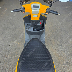 19년 와코ev6