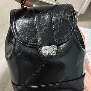 카디널레드 하우아백(은장)