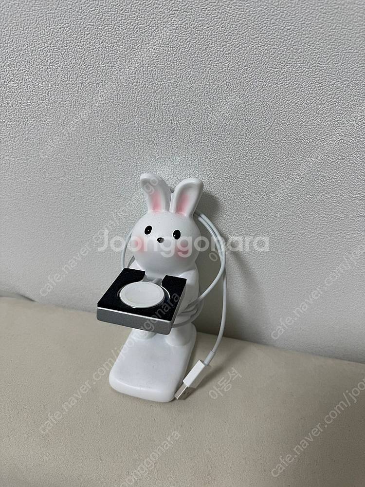 애플워치 애플 정품 케이블 애플워치 C타입--3