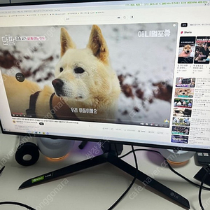 LG 울트라기어 27gp950 팝니다