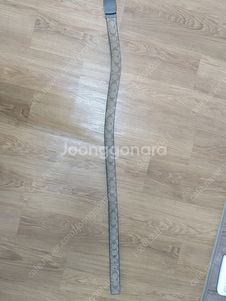 코치 남자 벨트--0