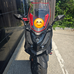22년식 크루심300 알파 팝니다