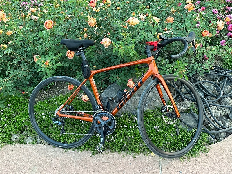 자이언트 TCR 어드밴스 1 DISC 22년식 이미지
