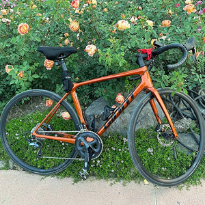 자이언트 TCR 어드밴스 1 DISC 22년식