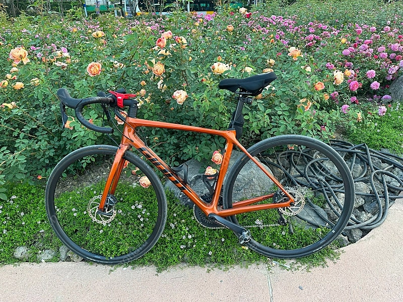자이언트 TCR 어드밴스 1 DISC 22년식 이미지
