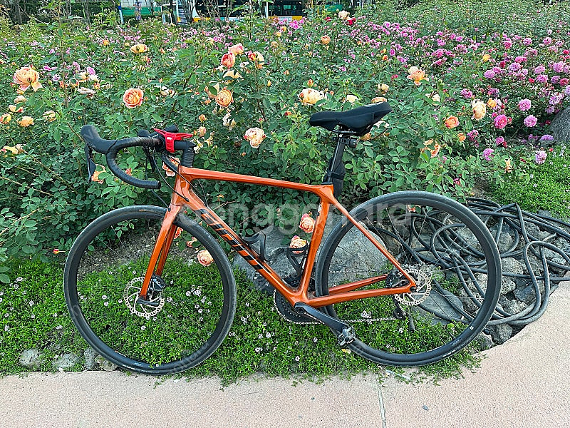 자이언트 TCR 어드밴스 1 DISC 22년식--1