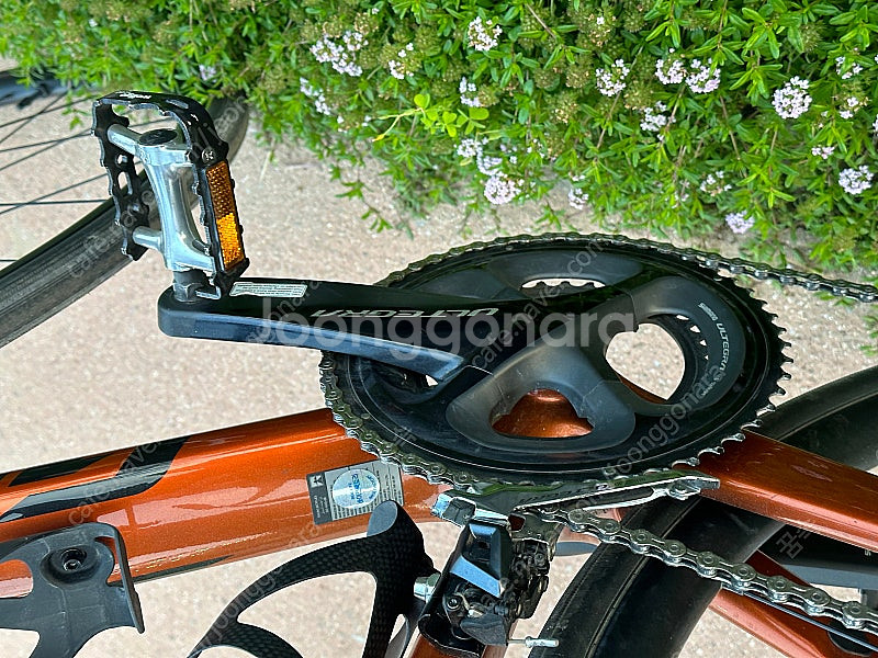 자이언트 TCR 어드밴스 1 DISC 22년식--3