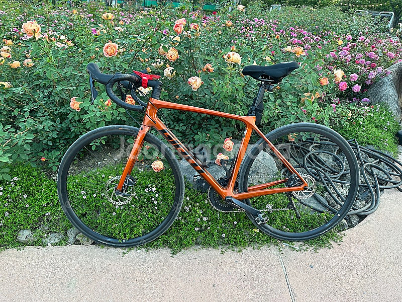 자이언트 TCR 어드밴스 1 DISC 22년식--7