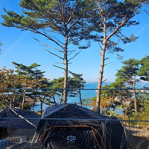 제드오토듀얼팔레스 AL 블랙 확장