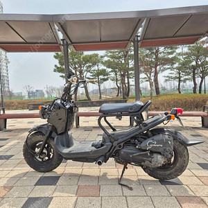 혼다 줌머50
