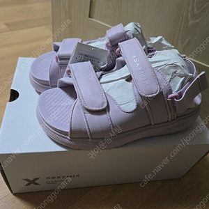 젝시믹스샌들230