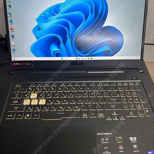 ASUS FX706HE-HX060 17인치 I9-11900H RTX3050TI 고사양 게이밍노트북