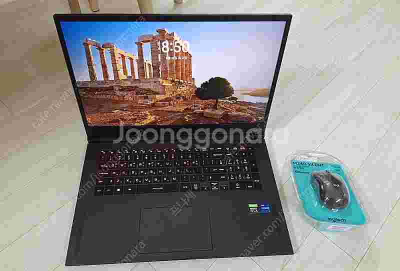 S급 RTX3080+i7 17.3인치 LG울트라기어 n...--0