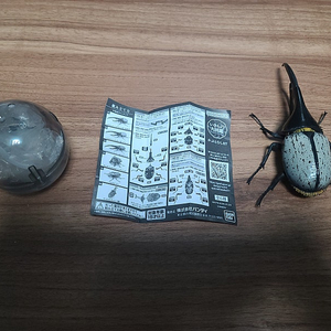 반다이 생물대도감 헤라클레스 장수풍뎅이 7탄 2번