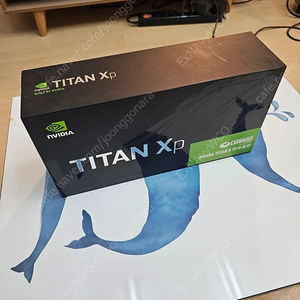 NVIDIA TITAN Xp 12GB 그래픽 카드 FOUNDERS EDITION (풀박)