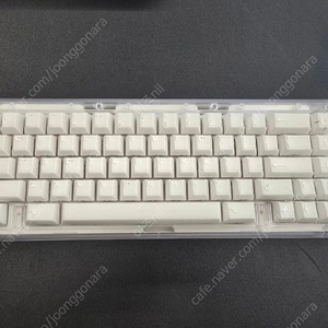 Bauer lite x-ray edition 베어본